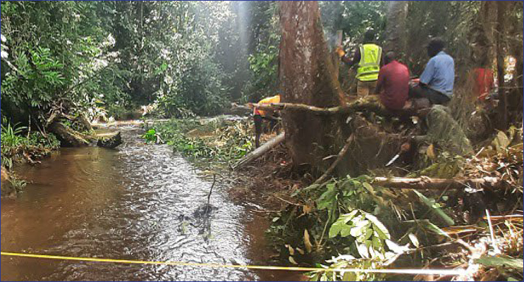 Quarterly Environmental Monitoring